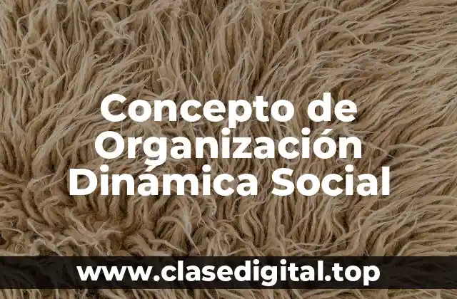 Concepto de Organización Dinámica Social