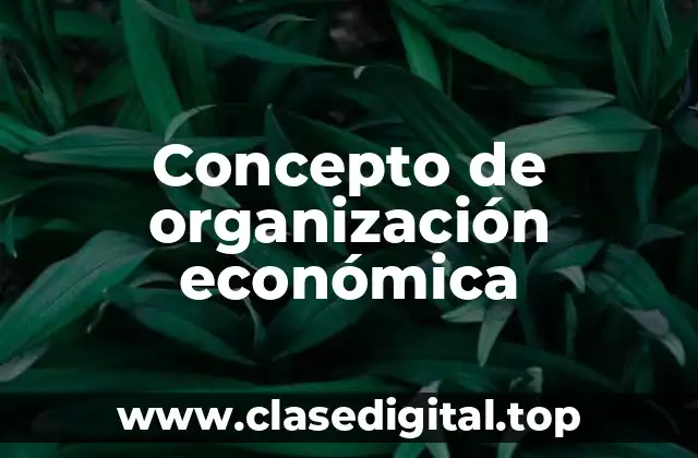 Concepto de organización económica