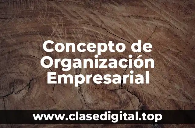 Concepto de Organización Empresarial
