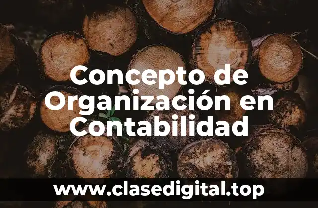 Concepto de Organización en Contabilidad