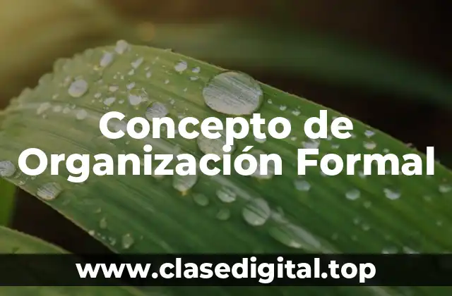 Concepto de Organización Formal