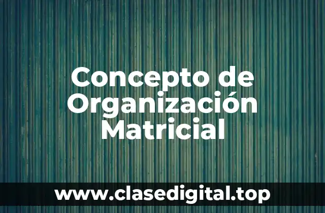 Concepto de Organización Matricial