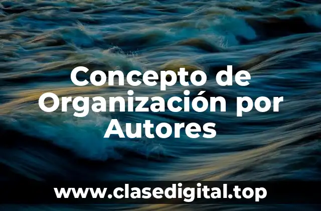 Concepto de Organización por Autores