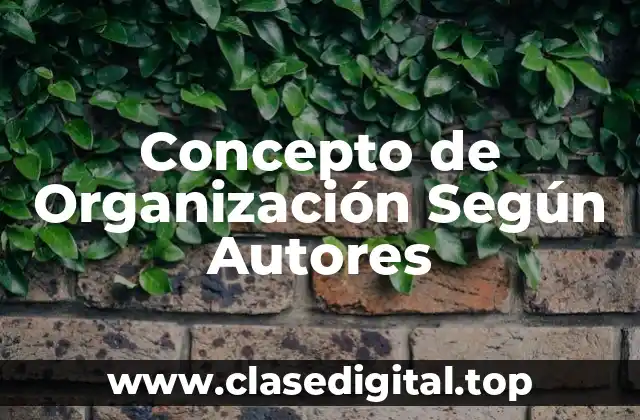 Concepto de Organización Según Autores