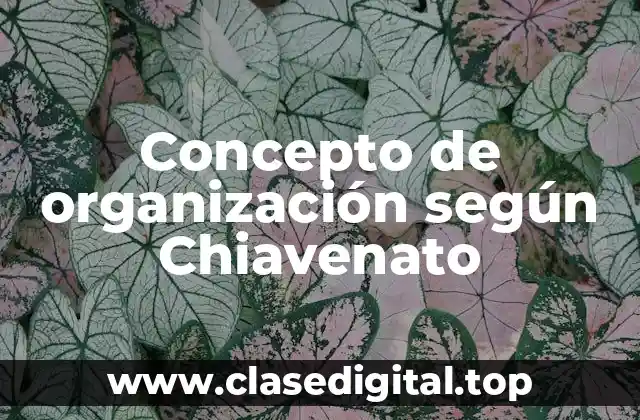 Concepto de organización según Chiavenato