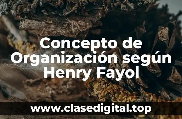 Concepto de Organización según Henry Fayol