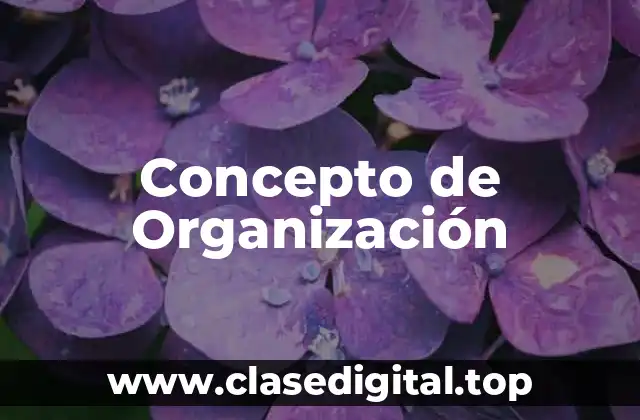 Concepto de Organización