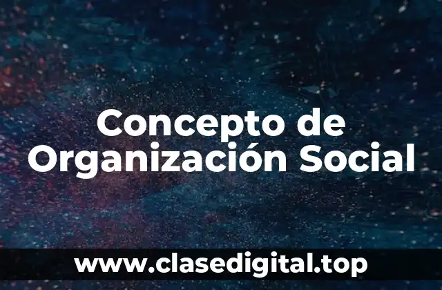 Concepto de Organización Social