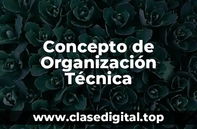 Concepto de Organización Técnica