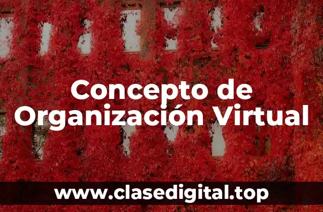 Concepto de Organización Virtual