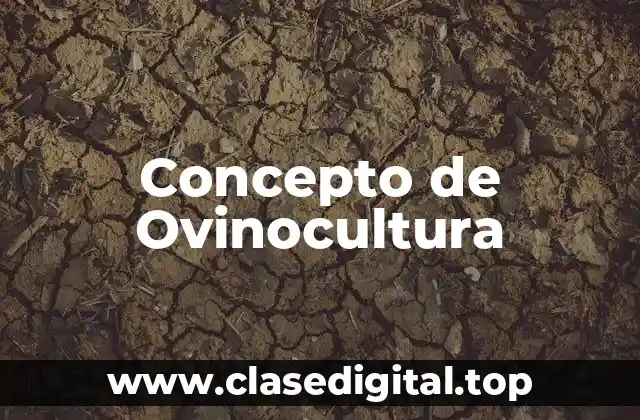 Concepto de Ovinocultura