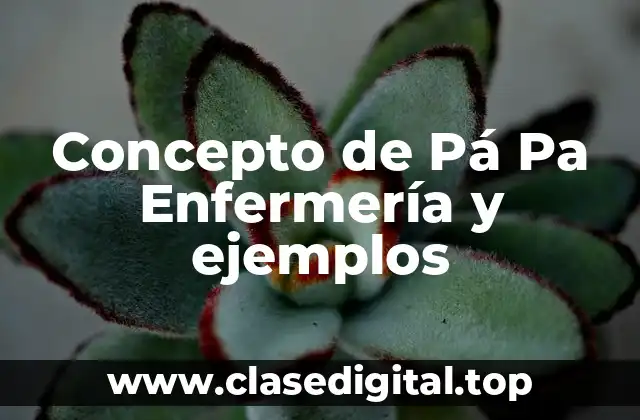 📗 Concepto de Pá Pa Enfermería