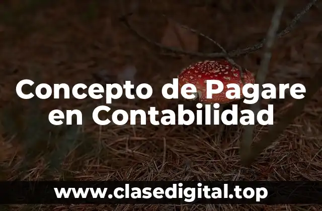 Concepto de Pagare en Contabilidad