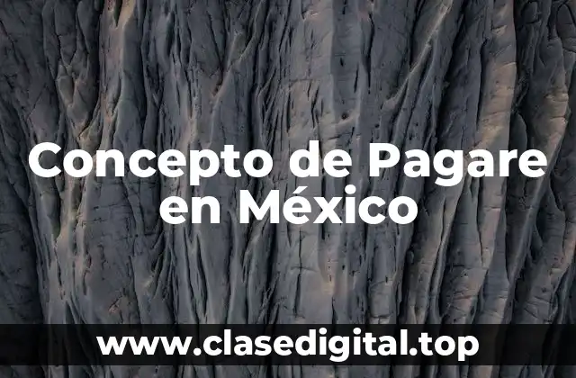 Concepto de Pagare en México