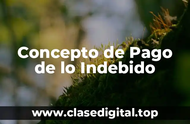 Concepto de Pago de lo Indebido