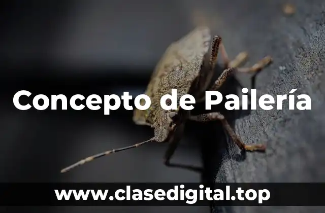 Concepto de Pailería