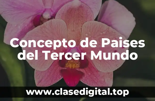 Concepto de Paises del Tercer Mundo
