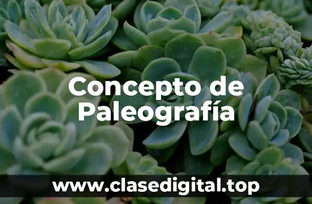 Concepto de Paleografía