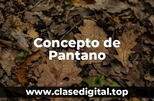 📗 Concepto de Pantano