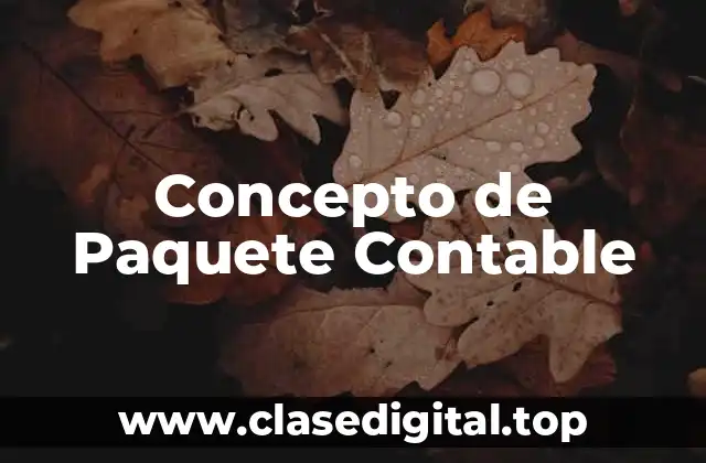 📗 Concepto de Paquete Contable