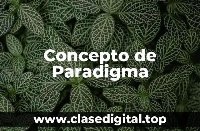 Concepto de Paradigma