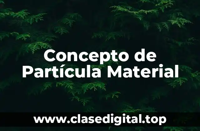 Concepto de Partícula Material
