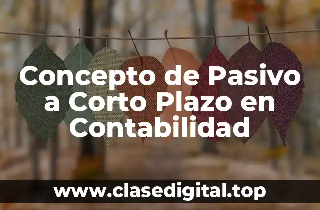 Concepto de Pasivo a Corto Plazo en Contabilidad