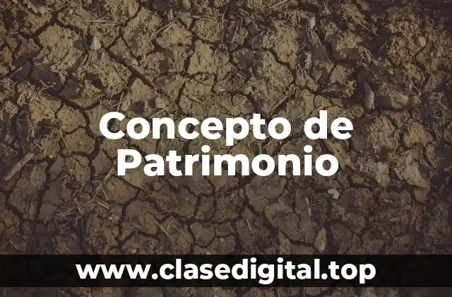 Concepto de Patrimonio