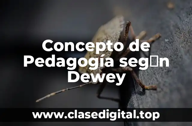 Concepto de Pedagogía seg�n Dewey