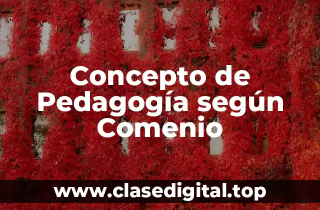 Concepto de Pedagogía según Comenio