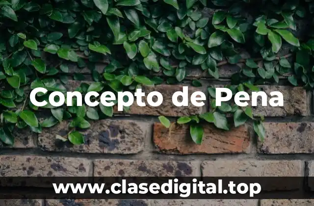Concepto de Pena