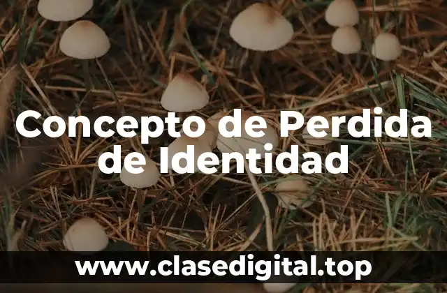 Concepto de Perdida de Identidad