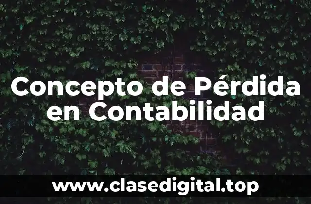 📗 Concepto de pérdida en contabilidad