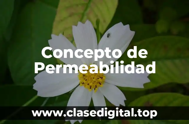 Concepto de Permeabilidad