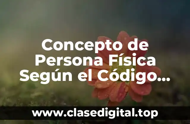 Concepto de Persona Física Según el Código Civil