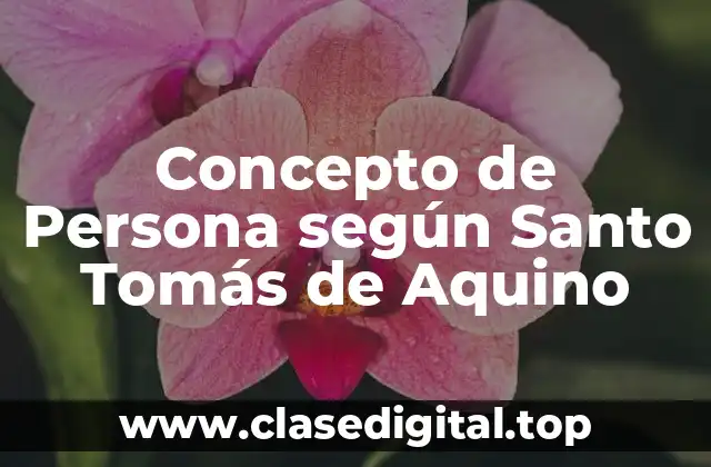 📗 Concepto de Persona según Santo Tomás de Aquino