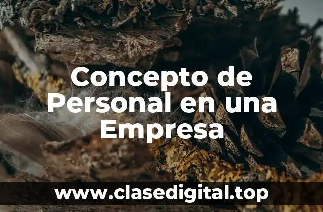 Concepto de Personal en una Empresa