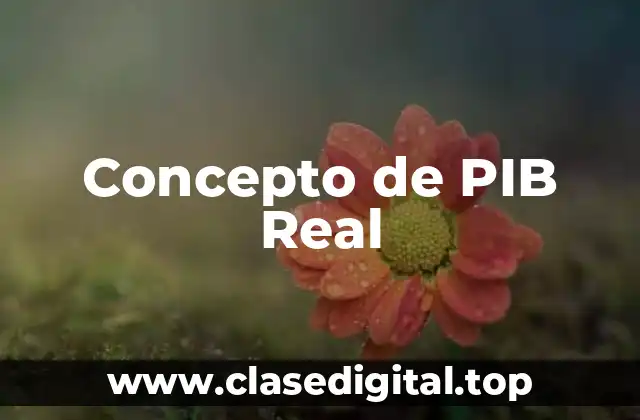 Concepto de PIB Real