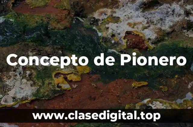 Concepto de Pionero