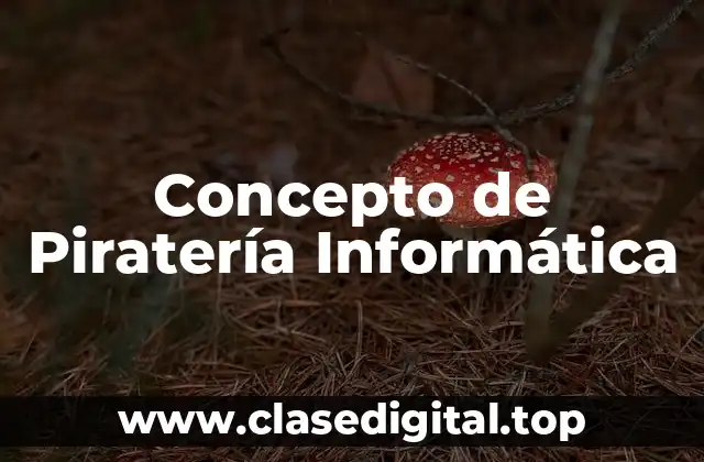 Concepto de Piratería Informática