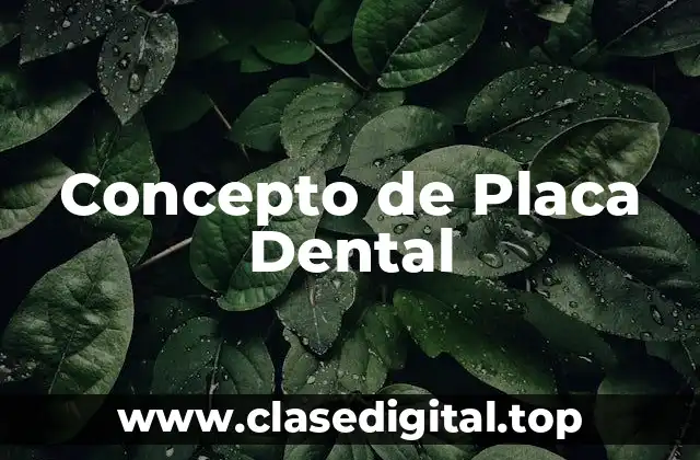 Concepto de Placa Dental