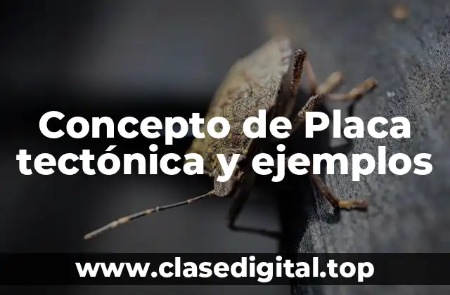 Concepto de Placa tectónica y ejemplos