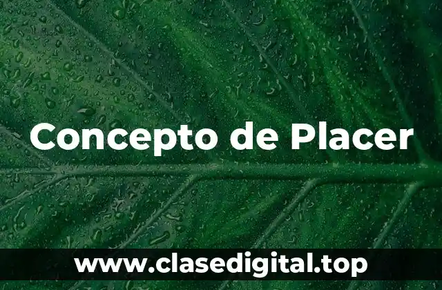 Concepto de Placer