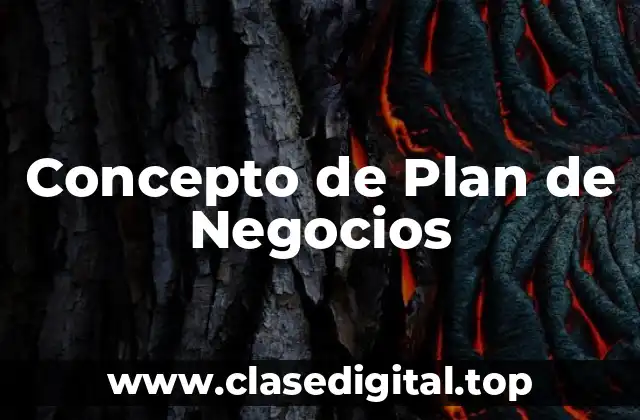 Concepto de Plan de Negocios