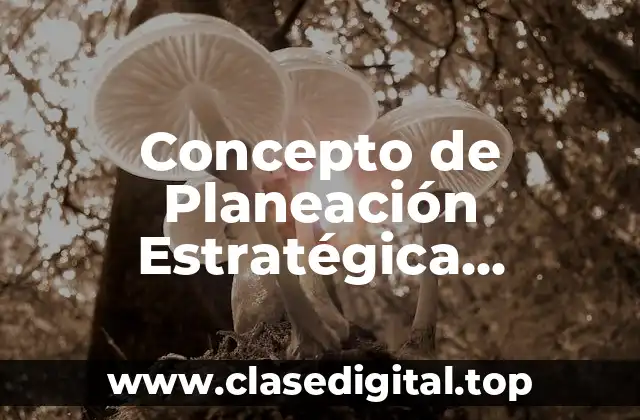 Concepto de Planeación Estratégica Financiera