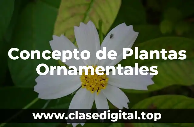 Concepto de Plantas Ornamentales