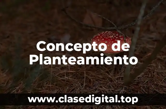 Concepto de Planteamiento