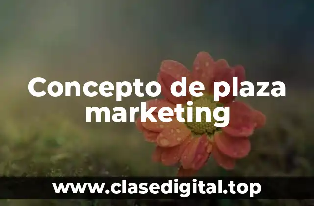 Concepto de plaza marketing