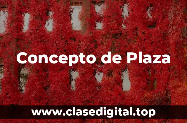Concepto de Plaza