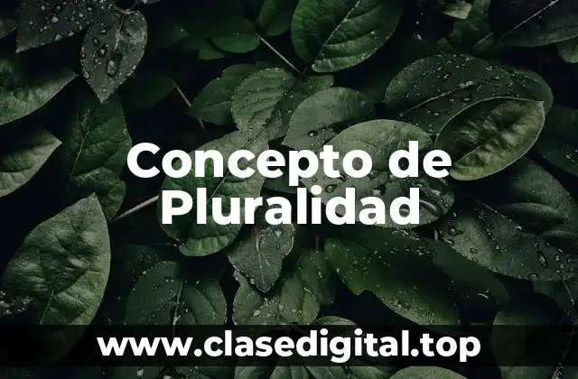 Concepto de Pluralidad